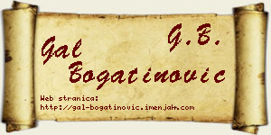 Gal Bogatinović vizit kartica